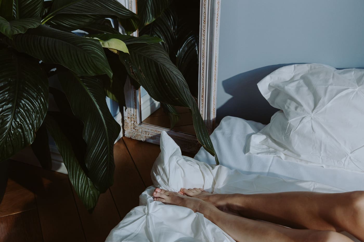 White bed linens beside a large green leafy houseplant